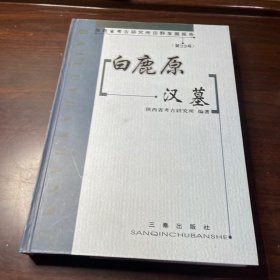 白鹿原汉墓