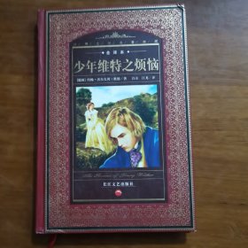 少年维特之烦恼（放阁楼位）
