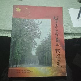 兰考商界人物风太大采