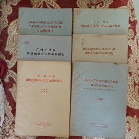 广西龙胜各族自县平等人民公社平等生产大队侗族社会历史调查材料、广西仡佬族解放前社会历史调查报告、广西隆林县德峨区彝族社会历史调查报告、广西隆林磨基乡仡佬族社会历史调查报告、睦边县那坡人民公社隆平生产大队倮倮（彝）族社会历史调查报告、环江县下南区中南乡毛难族社会历史调查报告.附《下南区堂八乡毛难族社会历史调查报告》，–六册合售