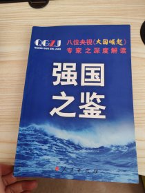 强国之鉴：八位央视《大国崛起》专家之深度解读