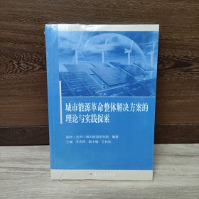 城市能源革命整体解决方案的理论与实践探索