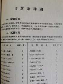 老种子 传统农业原始资料收藏（24）《甘蔗》（四川60-292）：1962年、1963年四川省内江专区甘蔗试验场《甘蔗试验研究报告》，甘蔗原始材料圃（杂种圃），甘蔗优良新品种，《我们对四川甘蔗优良品种选育的体会》（游禹锡 叶启丰 彭克智），1959-1962、1963年内江专区农业科学研究所《甘蔗实验研究资料》等！