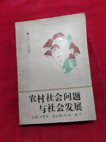 农村社会问题与社会发展