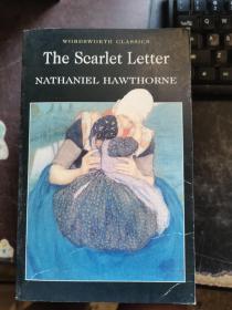 the Scarlet Letter