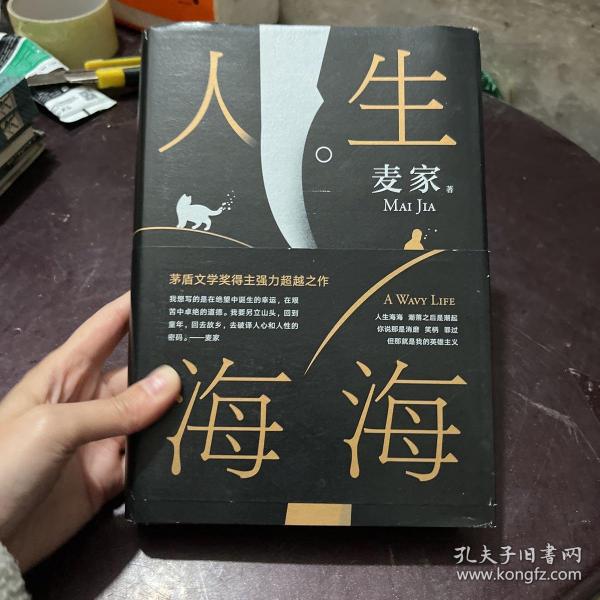 麦家：人生海海（茅盾文学奖得主麦家2019年强力之作）