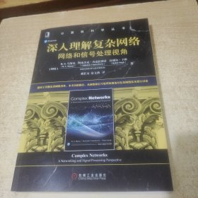 深入理解复杂网络：网络和信号处理视角/计算机科学丛书