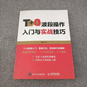 T+0波段操作入门与实战技巧