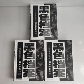 黑色档案:二十世纪震惊世界的政变、谋杀、恐怖、要案、灾难、丑闻