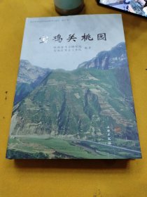 陕西省考古研究院田野考古报告（第47号）：宝鸡关桃园