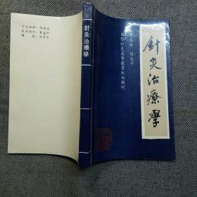 针灸治疗学