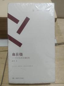 血在烧 中日长沙会战纪实（套装共4册）/周读书系 全新未拆封