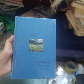 意大利的黄昏