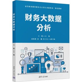 财务大数据分析