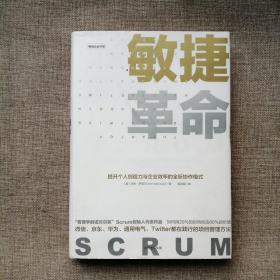 敏捷革命:提升个人创造力与企业效率的全新协作模式