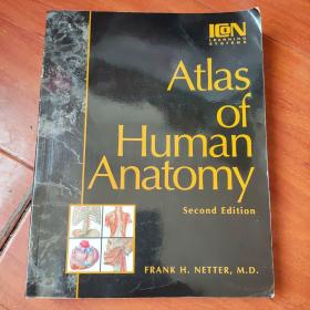 Atlas
of
Human Anatomy
Second Edition   人类解剖学