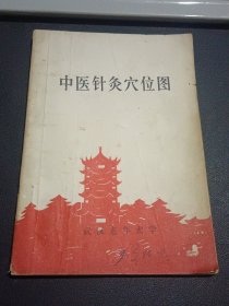 中医针灸穴位图