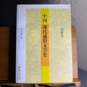 中国现代通俗文学史