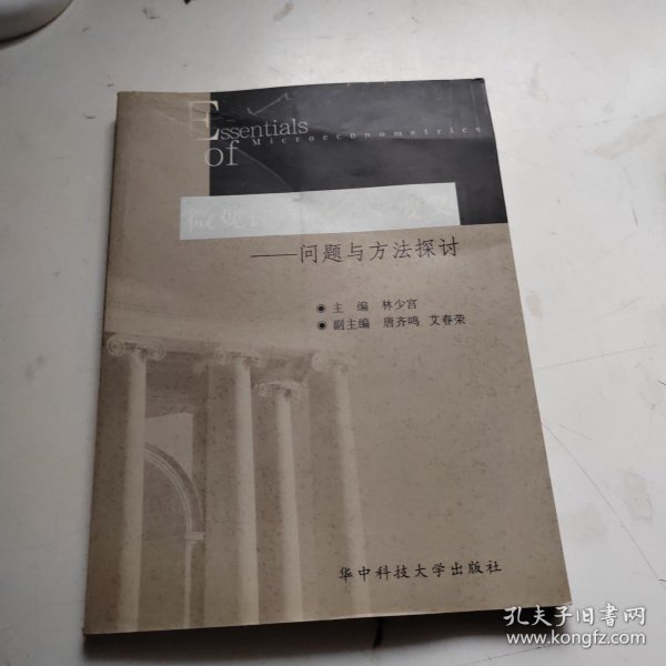 微观计量经济学要义：问题与方法探讨