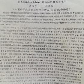 九十年植物形态学学术讨论会交流文章一组