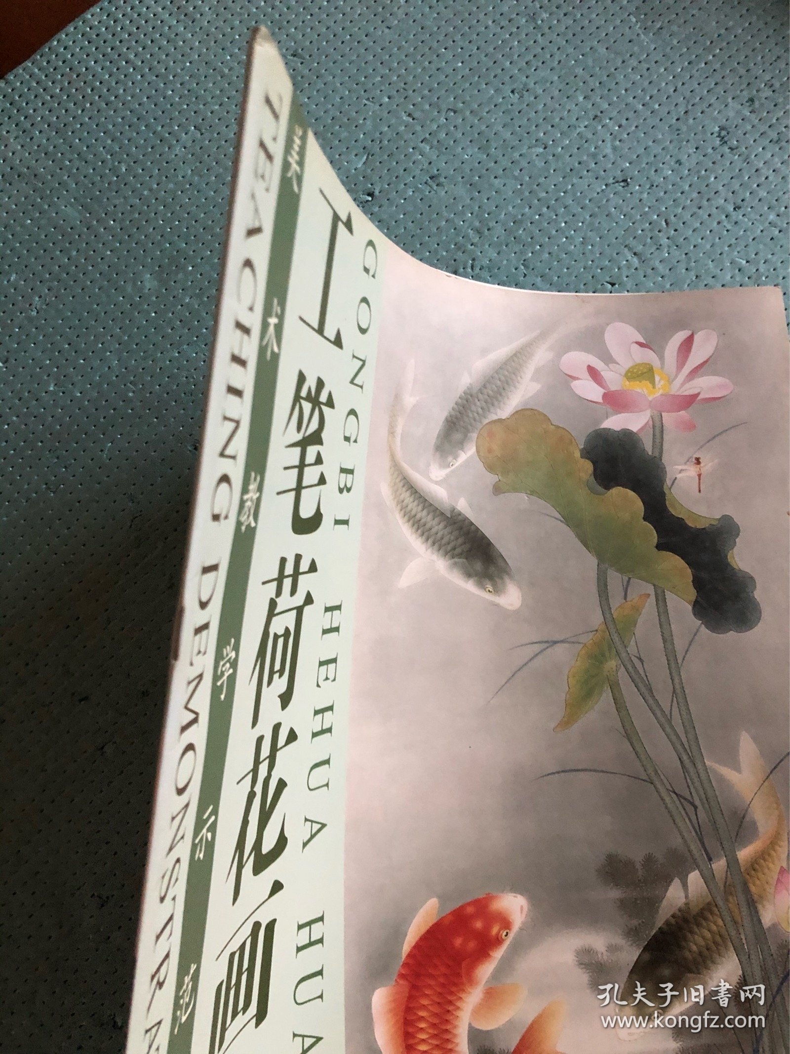 美术教学示范作品工笔荷花画法路雨年绘