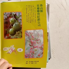 八十年代河南省鲁山县花药经销公司，辉县时装服装厂等彩页一页两面