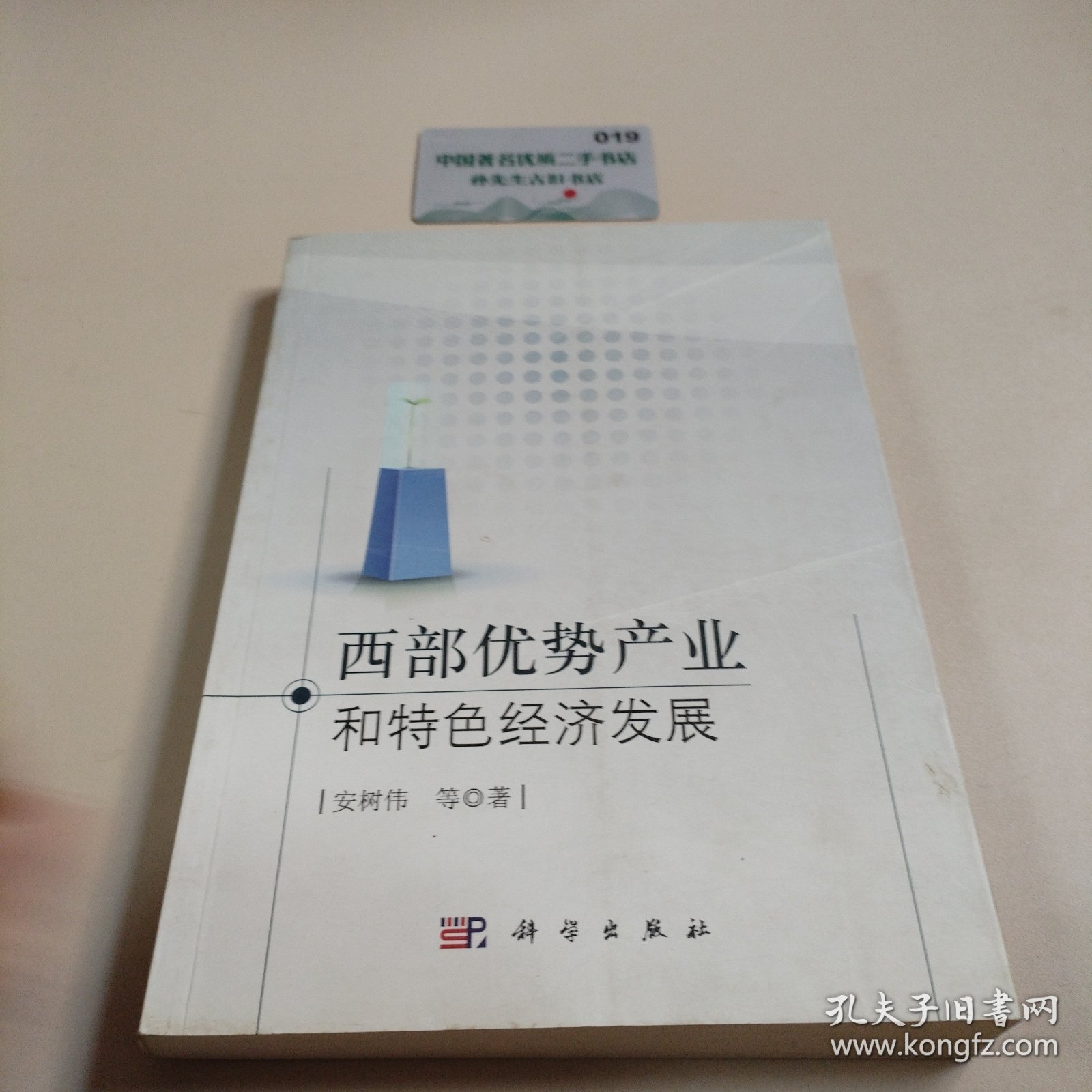 西部优势产业和特色经济发展