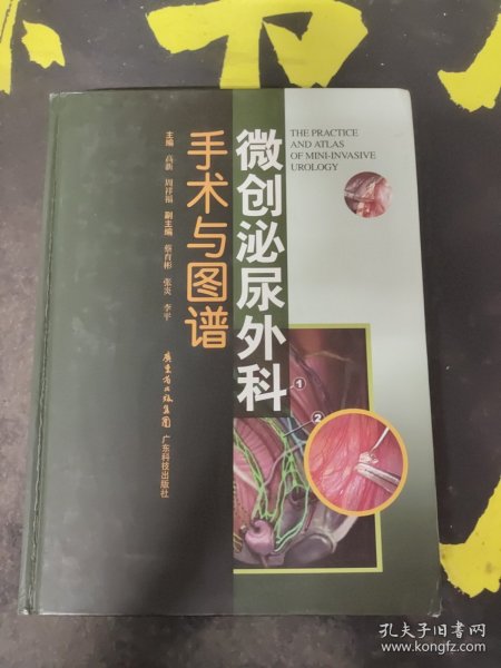 微创泌尿外科手术与图谱