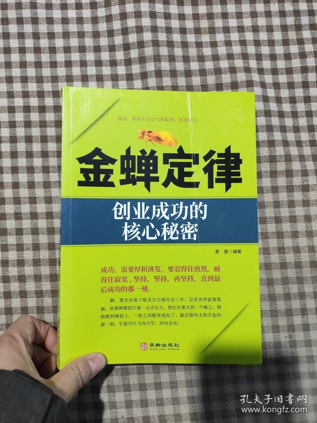 金禅定律：创业成功的核心秘密谢普