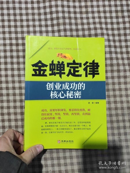金禅定律：创业成功的核心秘密谢普