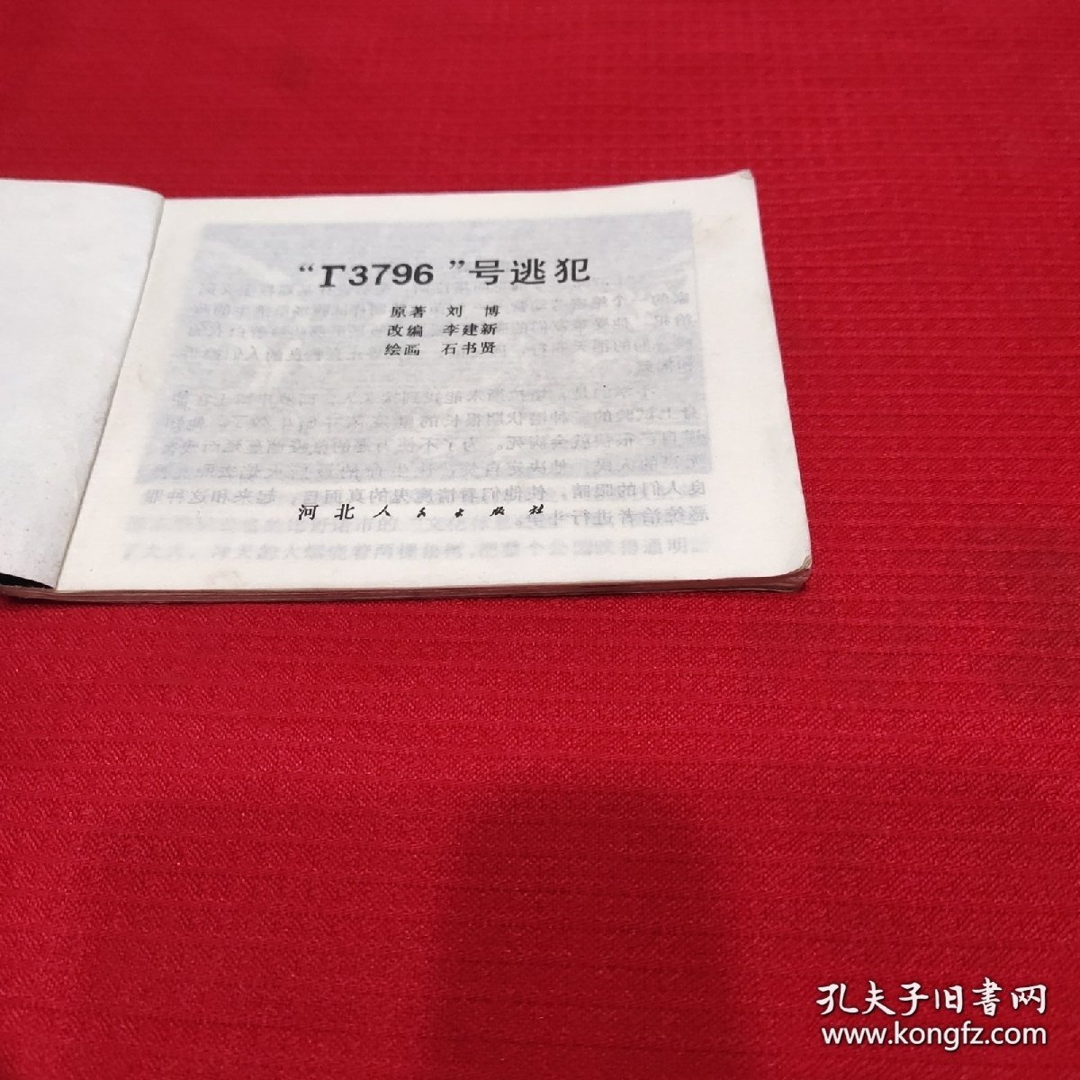 “T3796”号逃犯