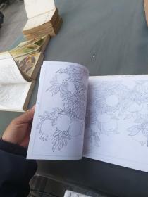 白描百花写生图稿1 2