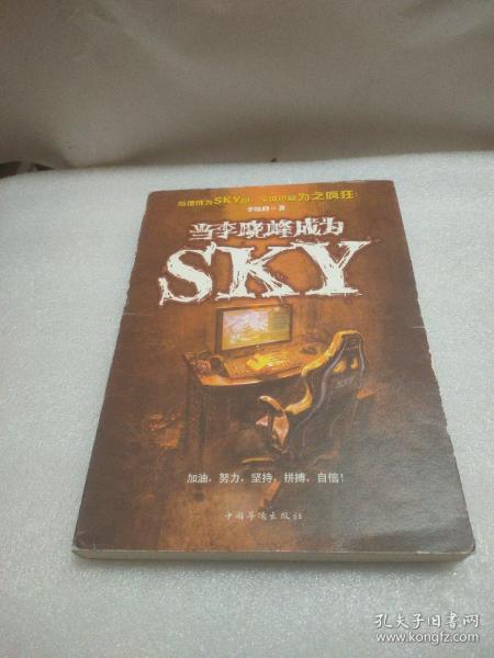 当李晓峰成为SKY