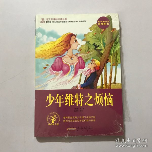 少年维特之烦恼