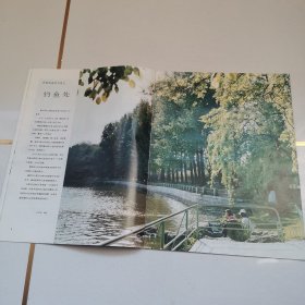 朝鲜（11）