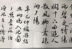 温州著名诗人林声宇先生毛笔诗稿一页 133x34cm