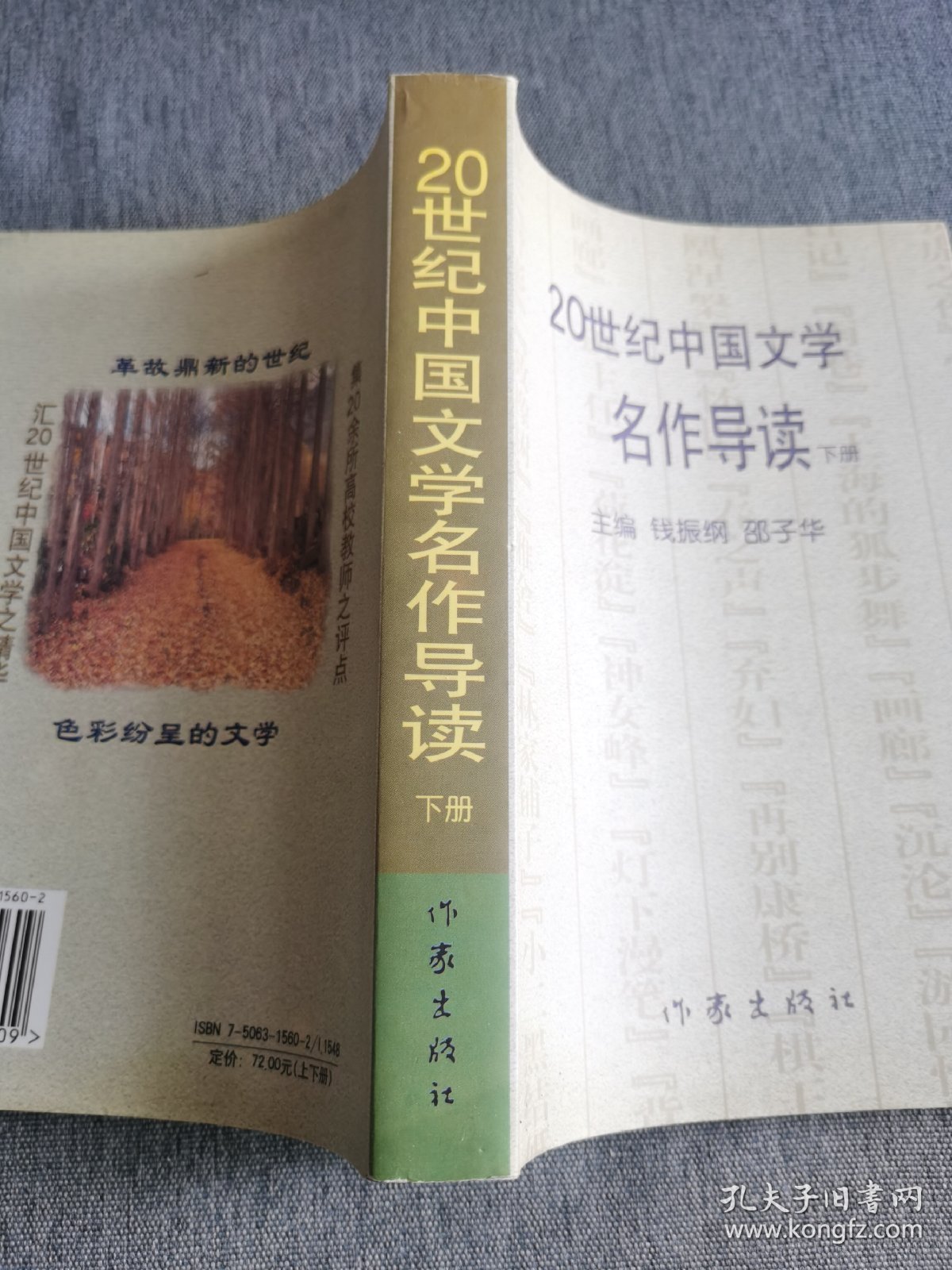 20世纪中国文学名作导读【下册】