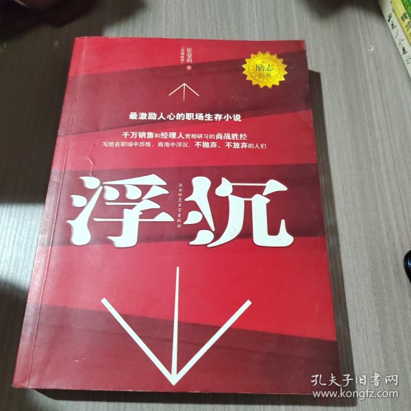 浮沉：最激励人心的职场生存小说