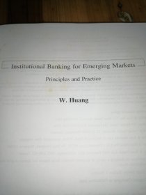 INSTITUTIONAL BANKING FOR EMERGING MARKETS PRINCIPLES AND PRACTICE (新兴市场的制度银行的原则与实践)