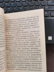 戴蕾斯拉甘
