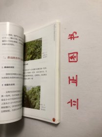 【正版现货，一版一印】浙南地区大棚番茄生产实用技术手册（图文版）设施越冬番茄产业是浙南地区最具区域优势、最有发展潜力的农业主导产业之一。据统计，浙南地区大棚越冬番茄现有栽培面积10万亩，总产量近50万吨，产值约12亿元，已成为浙南地区农业增效、农民增收的新举措。广大菜农依靠科技发家致富的要求十分迫切，非常需要通俗易懂的图书以指导其选良种、育好苗、用好肥、施准药、保好温、点好花，品相好，实用性强