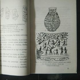 Ĉinio Marŝas en Insekta Mondo 中国向昆虫世界进军