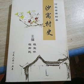 沙窝村史