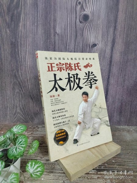 正宗陈氏太极拳