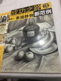 成功之路：素描静物新范例3