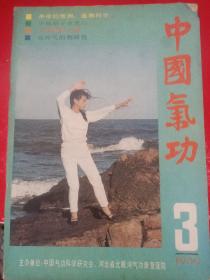 中国气功1989/3