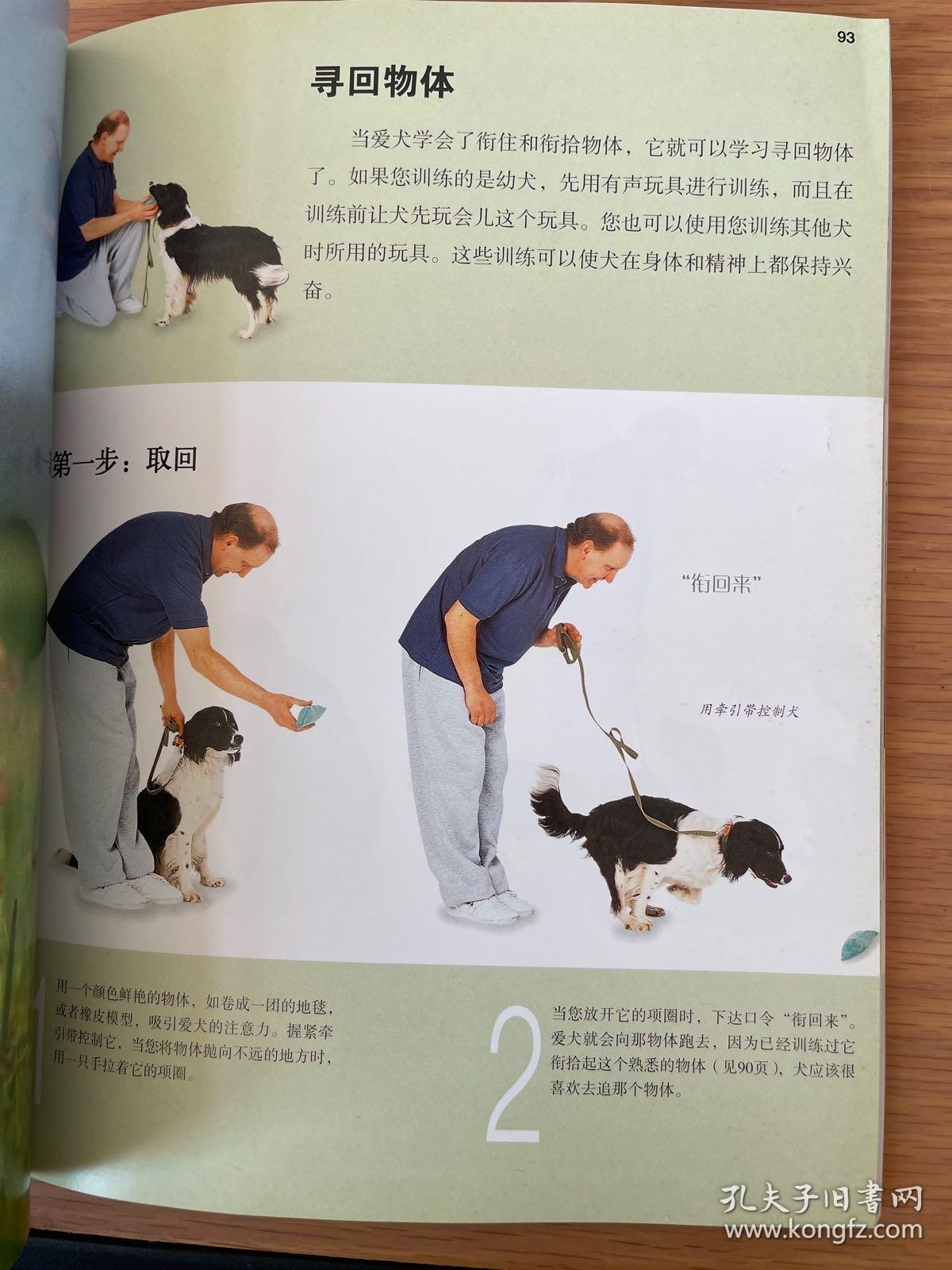 爱犬训练大全