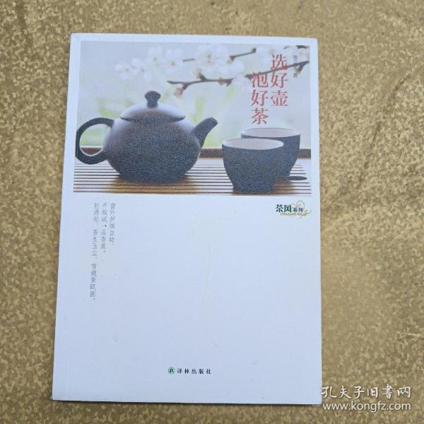 茶风系列：选好壶 泡好茶