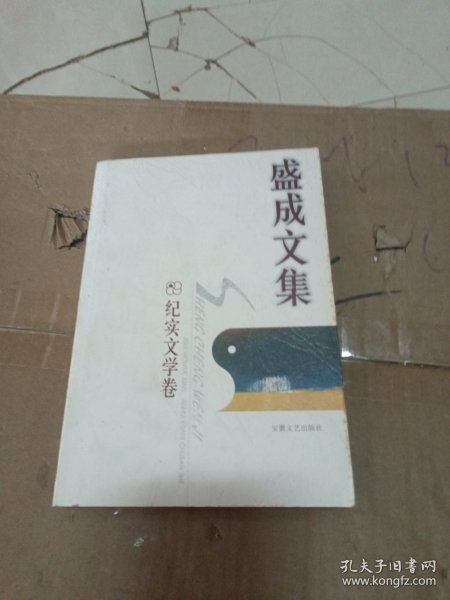 盛成文集.纪实文学卷