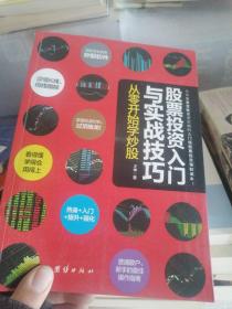 股票投资入门与实战技巧：从零开始学炒股